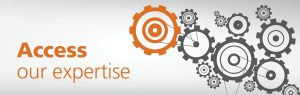 seo services